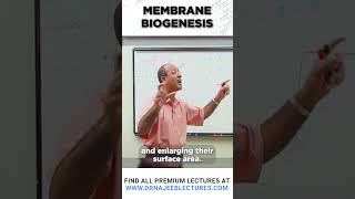 Membrane Biogenesis drnajeeb shortvideo drnajeeblectures [upl. by Cj]