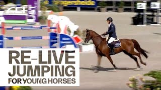 RELIVE  FEI World Breeding Jumping Championship for Horses 6Years of Age [upl. by Alderman]