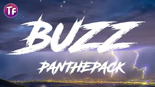 PANTHEPACK  BUZZ Lyrics [upl. by Annav]