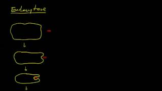 Membranen und Phänomene 03  Endocytose und Exocytose [upl. by Lussier]