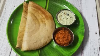 Foxtail Millet Dosa ll Thinai Dosa ll Healthy breakfast recipe ll Diabetic foods ll Ep137 [upl. by Enahsed]