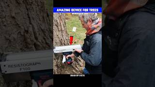 How This Device Check Health Of The Trees😱 [upl. by Nefets]