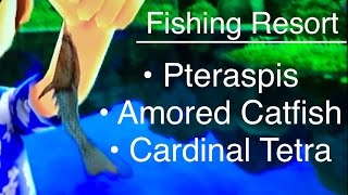 Lets Play Fishing Resort Wii Pteraspis Armored Catfish Cardinal Tetra [upl. by Gerk]