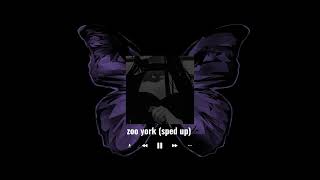 zoo york sped up [upl. by Seda646]