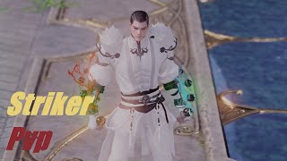 Lost Ark Striker PvP [upl. by Savick812]