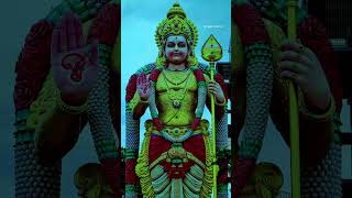 Arupadai veedu konda muruganukku Arogara murugar stusts song tamilkadavulmurugan [upl. by Andromeda578]