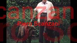 Most View Neapolitan Mastiff Puppies by Eduardo Durán Haedo [upl. by Htez]