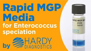 Rapid MGP Medium for Enterococcus speciation by Hardy Diagnostics [upl. by Nannaihr]