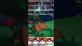 RATTATA ET COUPENOTTE SHINY EN LIVE  Twitch  Rafouuuuu twitch pokemon [upl. by Stempson]