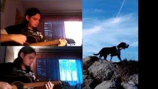 Djelevic88  The Last Of the Mohicans Theme Acoustic Instrumental cover [upl. by Tyson]