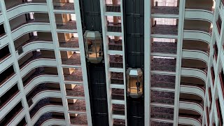 Scenic Fujitec Traction Elevators at the RiverCenter Marriott  Covington KY [upl. by Convery685]