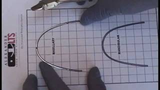 How to place Omega Loops into Upper Rectangular Stainless Steel Archwire [upl. by Lraep]