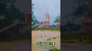 Baisi pahache kheliba mina  jagannath temple digi shorts viralshort trending [upl. by Rivera]