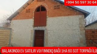 989 BALAKƏNDƏ EV SATILIR VƏ FINDIQ BAĞI 1HA 60 SOT TORPAĞ İLƏQiymət üçün zəng ilə əlaqə saxlayın [upl. by Monahon]