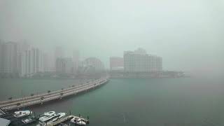 Summer Thunderstorm in Miami  Rain and Thunder Sounds [upl. by Rbma454]