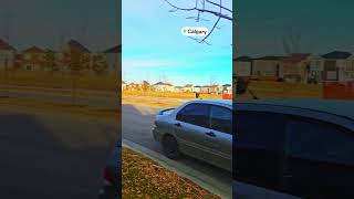 Calgary fall weather calgary canada swabi love snow [upl. by Ecienahs32]