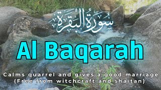 Surah Al Baqarah calms quarrel and gives a good marriage Free from witchcraft and shaitan [upl. by Millburn]