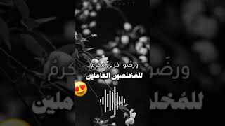 Lofi Nasheed 🎧🤍 alhamdulillah mwaleed01 muhammadwaleed1616 nasheed [upl. by Assirual]