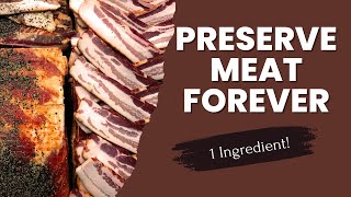 Preserve Meat FOREVER with Historical Salt Cured Method [upl. by Ninazan134]