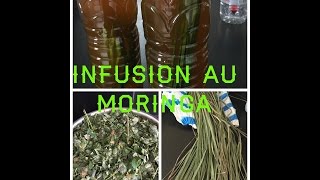 Infusion De Moringa [upl. by Neoma]