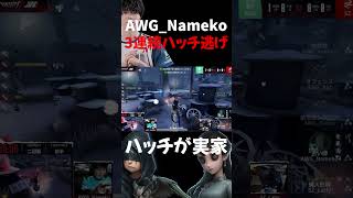 伝説の3連続ハッチ逃げbyAWGNameko 第五人格 identityv 大会動画 ijl なめこ awg [upl. by Tillinger]