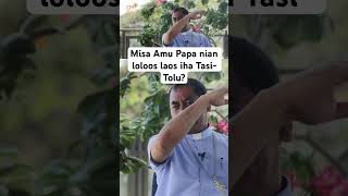 Misa Amu Papa nian loloos laos iha TasiTolu [upl. by Aerdnac]