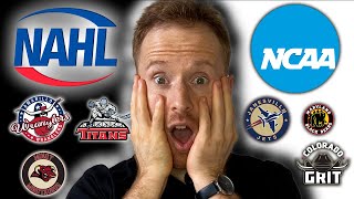 Ranking NAHL Teams by NCAA D1 Commitments [upl. by Jallier701]