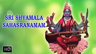 Sri Shyamala Sahasranamam  Powerful Mantra  DrR Thiagarajan [upl. by Rolyab]