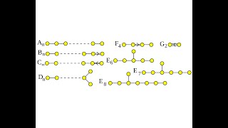 This Weeks Finds 8 E8 and the octonions [upl. by Kippy]