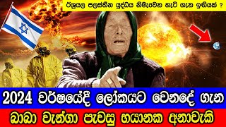 බාබා වැන්ගා දුටු 2024 වර්ෂය  Baba Vanga 2024 8 Predictions That Will Change The World [upl. by Lallage]