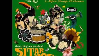 Bebo Best amp Super Lounge Orchestra  Bollywood Ghost Dance [upl. by Audette]