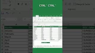 Use this excel trick CTRL ‘ backtick to see the formulas used in the table shorts exceltricks [upl. by Eanrahs]