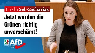 Jetzt werden die Grünen richtig unverschämt – Enxhi SeliZacharias AfD [upl. by Urbai934]