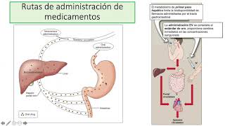 Farmacocinética y Farmacodinamia [upl. by Erreid]