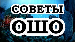 ОШО — Советы Ошо [upl. by Gotthelf]