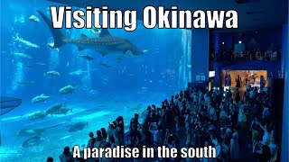 Experience in Japan Ep12  2023 Okinawa Jujutsu kaisen Chura Umi Aquarium Araha Beach and More [upl. by Janelle706]