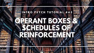 Operant Boxes amp Schedules of Reinforcement Intro Psych Tutorial 63 [upl. by Ahsyak109]