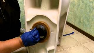 Beginner Tutorial Remove and Install a New Toilet [upl. by Sochor]