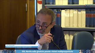 DDL Nordio sulla giustizia penale visioni multiprospettiche [upl. by Eigla]