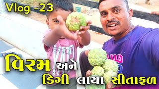 વિરમ અને ડિગી લાયા સીતાફળ  Viram Ane Digi Laya Sitafal [upl. by Legir]