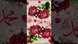 🌹 Labbayk 🌹 ya 💚 rasulallah 🌹🌹💚🌹 [upl. by Dolorita51]