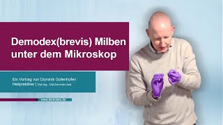 Demodex Brevis Milben unter dem Mikroskop [upl. by Seravat909]