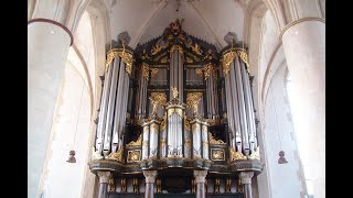 Sietze de Vries in concert Martinikerk Groningen [upl. by Seebeck]