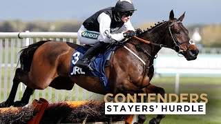 2023 PADDY POWER STAYERS HURDLE CONTENDERS AT THE CHELTENHAM FESTIVAL [upl. by Mary280]