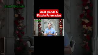 Anal glands amp Fistula Foramation drimtiazhussain doctor generalsurgeons [upl. by Fabrianna]