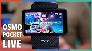 Three ways to livestream with the DJI Osmo Pocket 3 [upl. by Erodavlas]