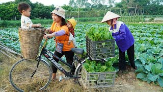 Harvest Green Vegetables Goes to Market Sell  Cooking  Gardening Daily life  Ly Thi Ngoan [upl. by Naleek484]