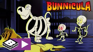 Bunnicula  Spook  Cartoonito [upl. by Vassar]