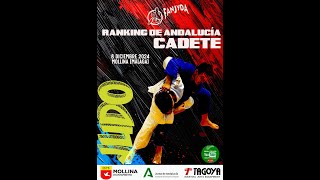 TATAMI 3  RANKING DE ANDALUCIA CADETE Dic 2024 Mollina Málaga [upl. by Ermeena]