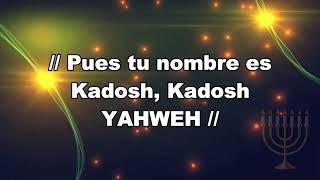 🎵KADOSH SANTO  Paul Wilbur  Adoración a YAHWEH [upl. by Atihana]